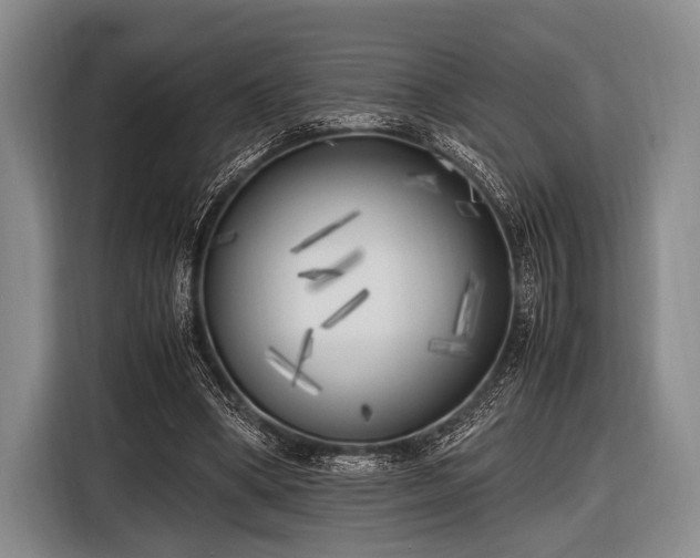 X0000116620394200912181309