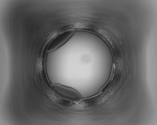 X0000116620395200912181309