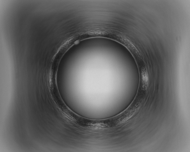 X0000116620396200912181309