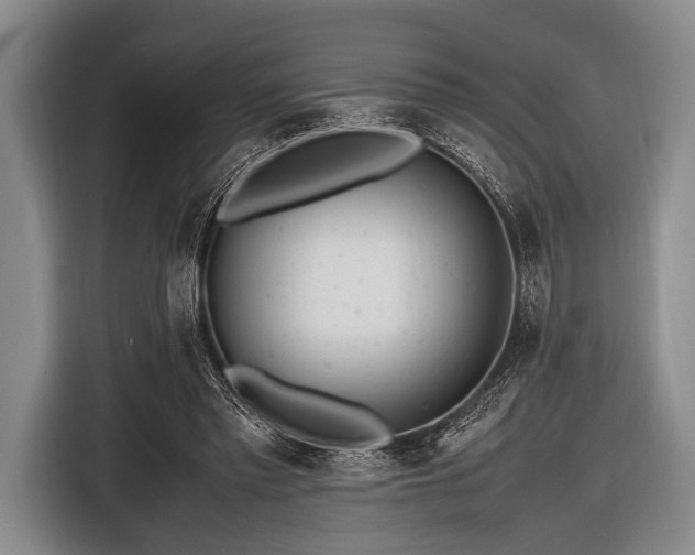 X0000116620397200912181309