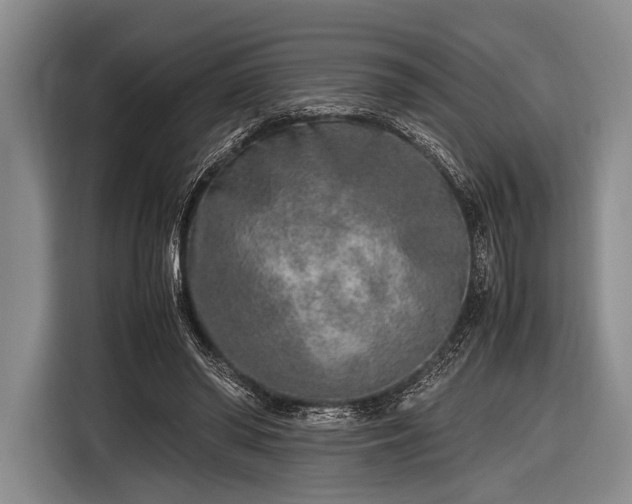 X0000116620398200912181309