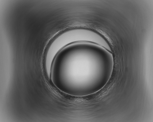 X0000116620399200912181309