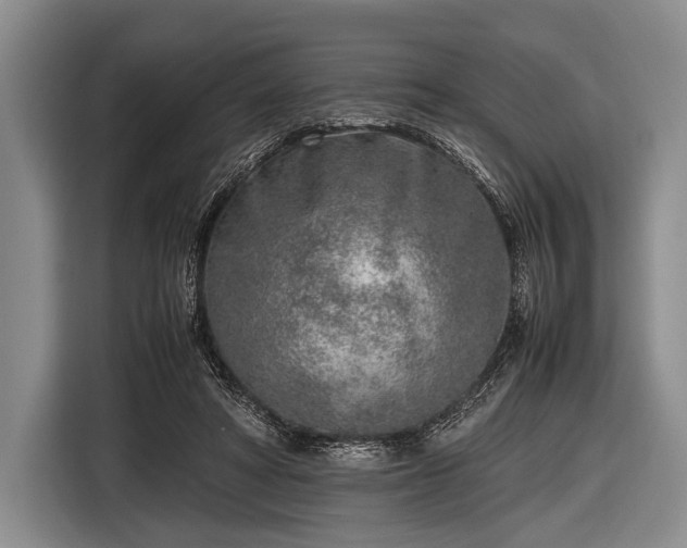 X0000116620402200912181309