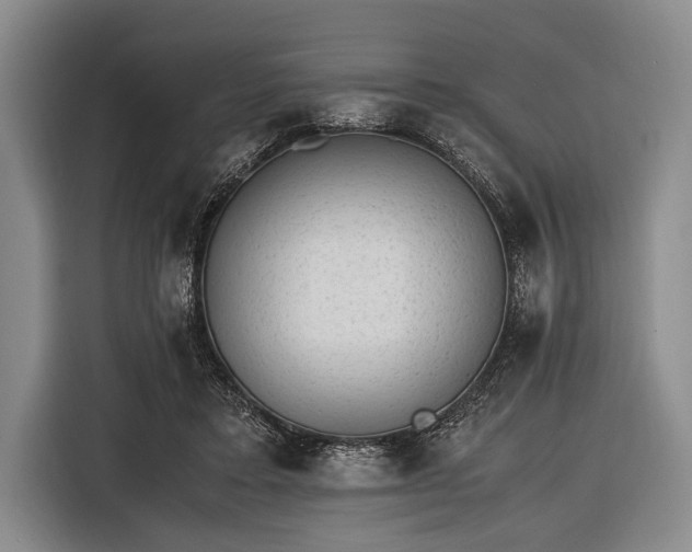 X0000116620403200912181309