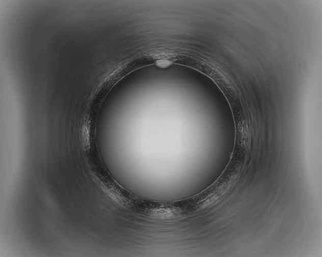 X0000116620404200912181309