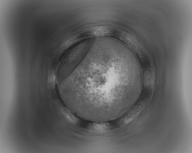 X0000116620405200912181309