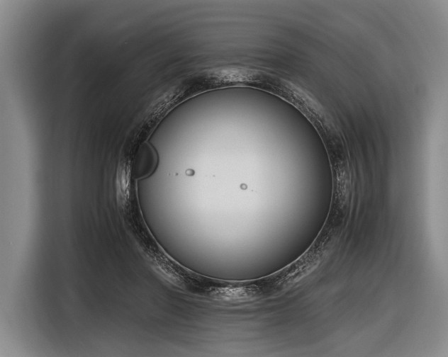 X0000116620406200912181309