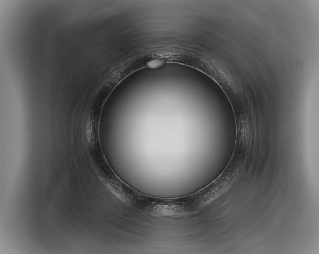 X0000116620408200912181309