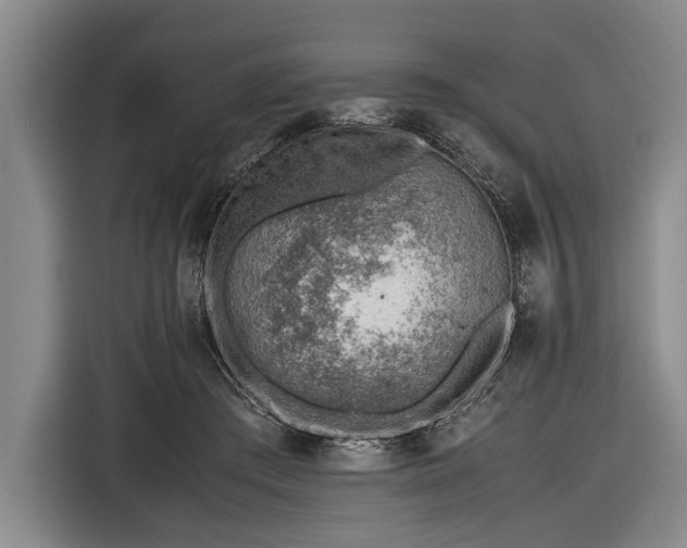 X0000116620409200912181309