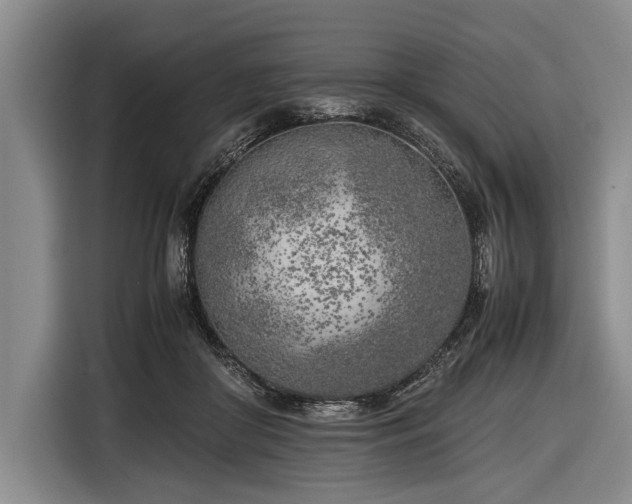 X0000116620410200912181309