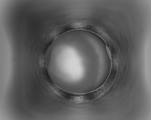 X0000116620411200912181309