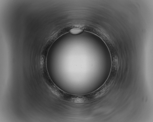 X0000116620412200912181309