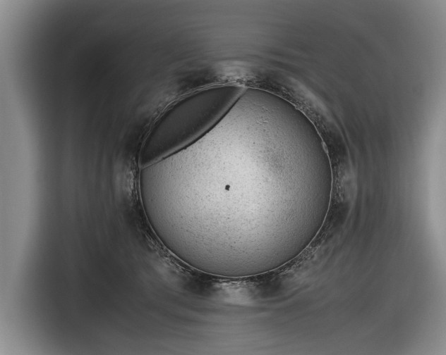 X0000116620417200912181309