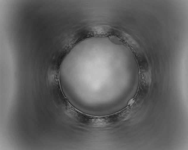 X0000116620419200912181309