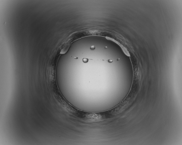 X0000116620421200912181309