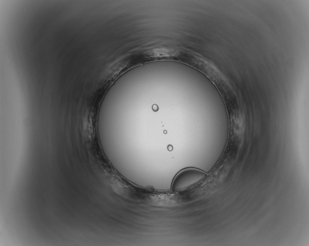 X0000116620422200912181309