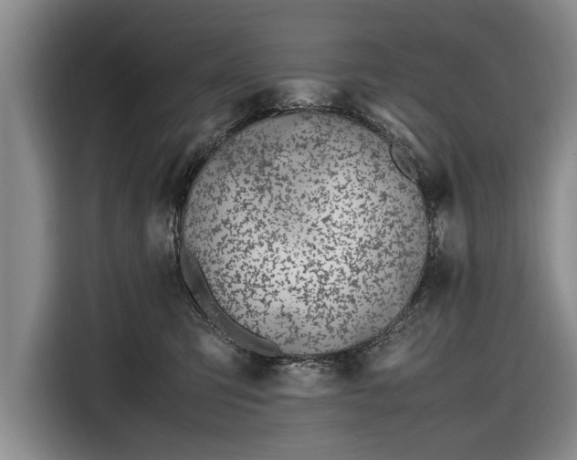 X0000116620423200912181309