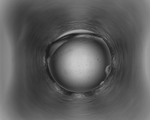 X0000116620424200912181309