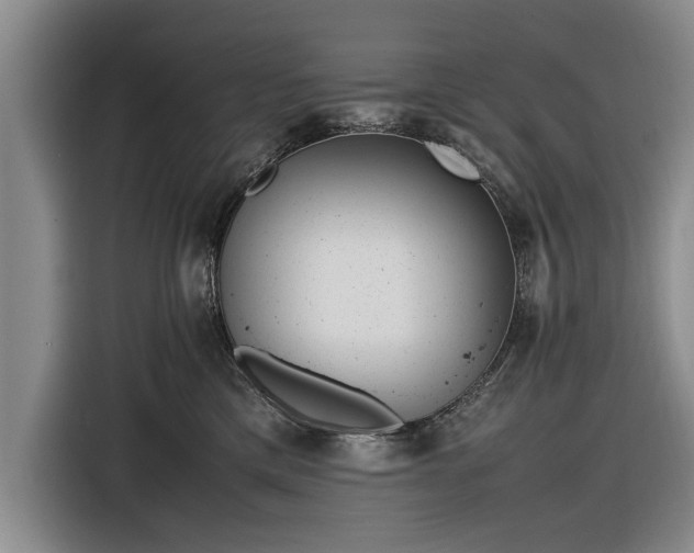 X0000116620425200912181309