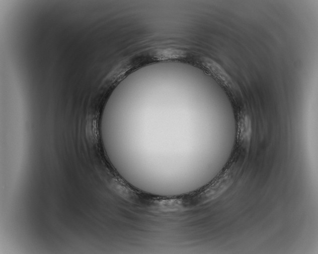 X0000116620426200912181309