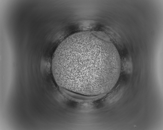 X0000116620427200912181309