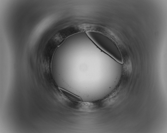 X0000116620429200912181308