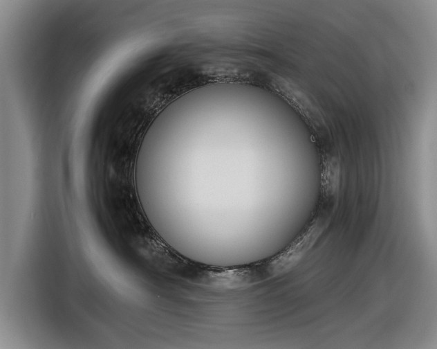 X0000116620430200912181308