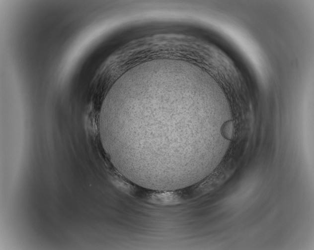 X0000116620431200912181308