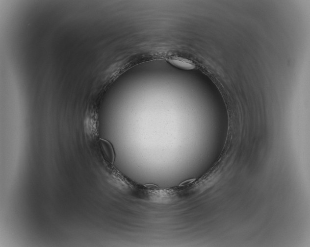 X0000116620432200912181308