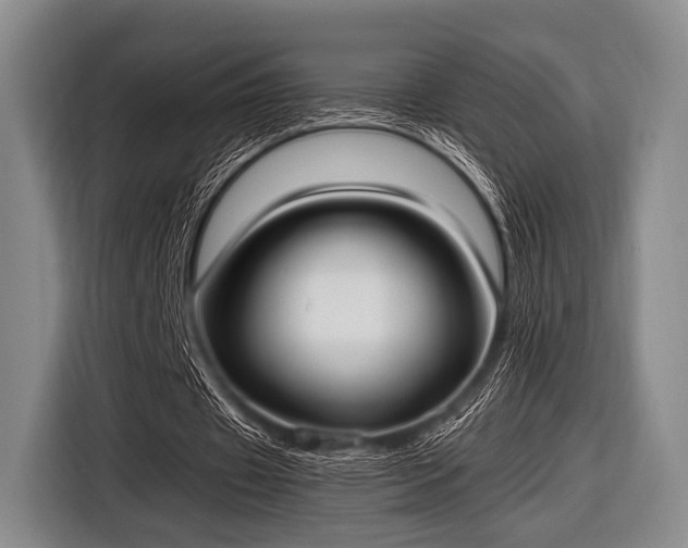 X0000116620433200912181308