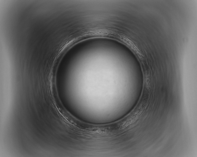 X0000116620434200912181308