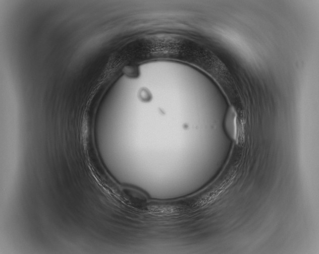 X0000116620435200912181308