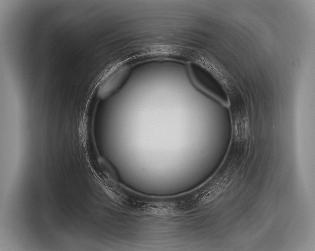 X0000116620436200912181308