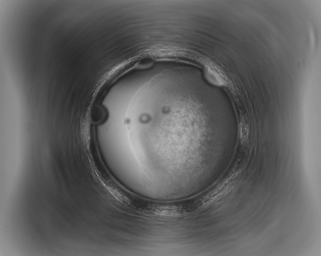 X0000116620438200912181308