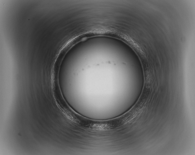 X0000116620440200912181308