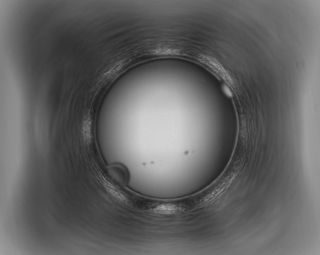 X0000116620441200912181308