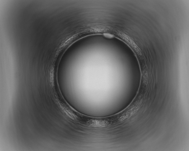 X0000116620442200912181308