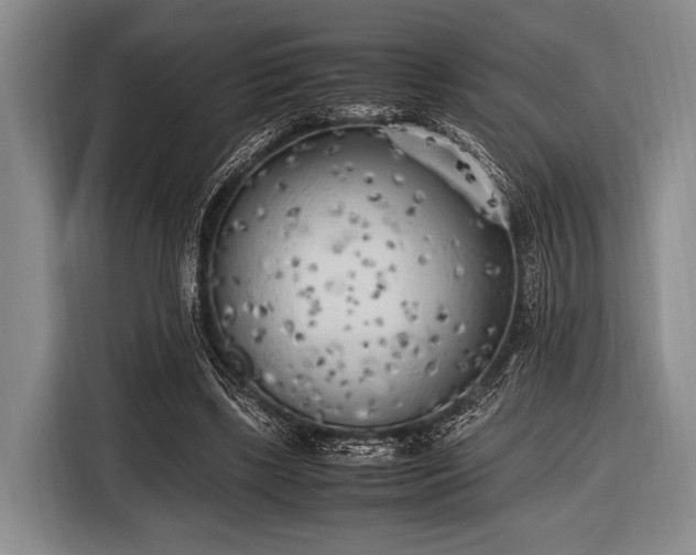 X0000116620443200912181308