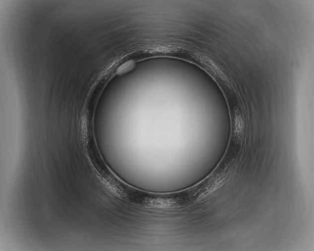 X0000116620444200912181308