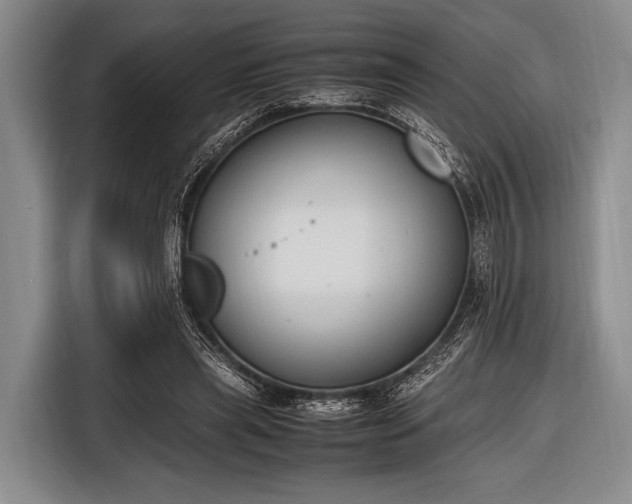 X0000116620445200912181308