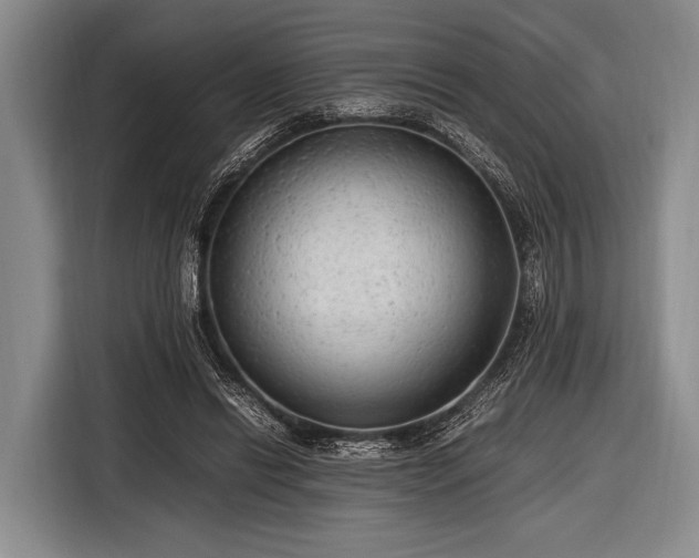 X0000116620446200912181308