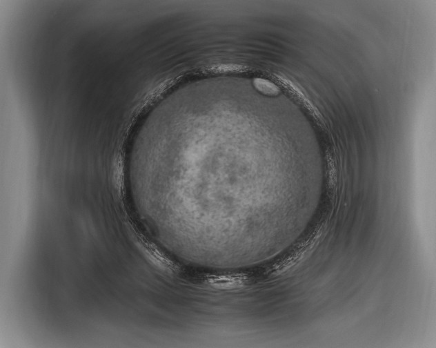 X0000116620447200912181308