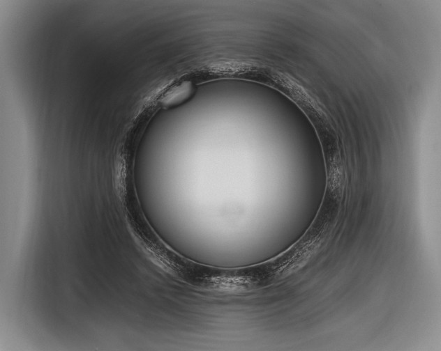 X0000116620448200912181308