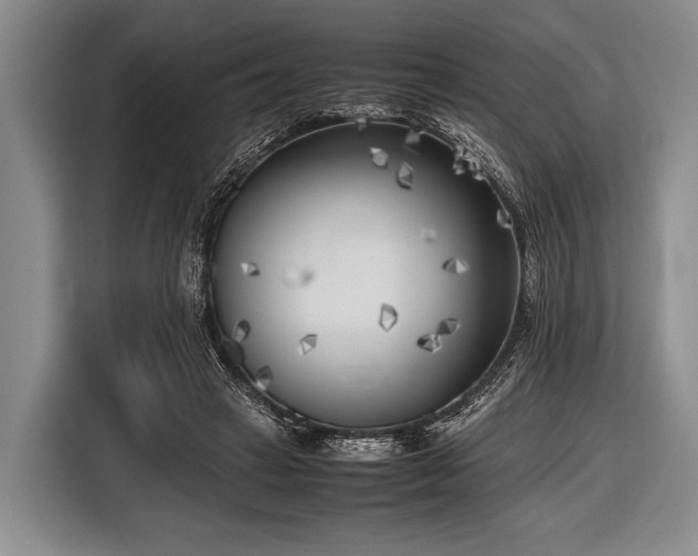 X0000116620449200912181308
