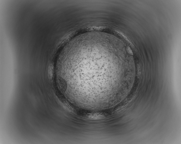 X0000116620451200912181308