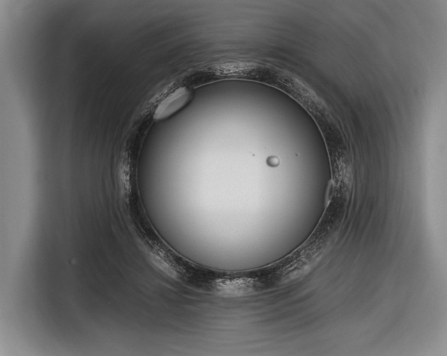 X0000116620452200912181308