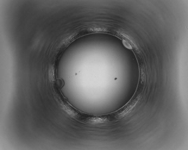 X0000116620453200912181308