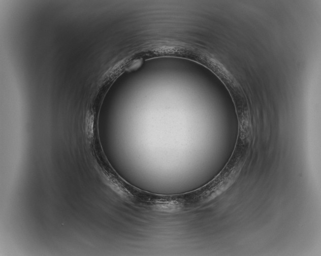 X0000116620454200912181308