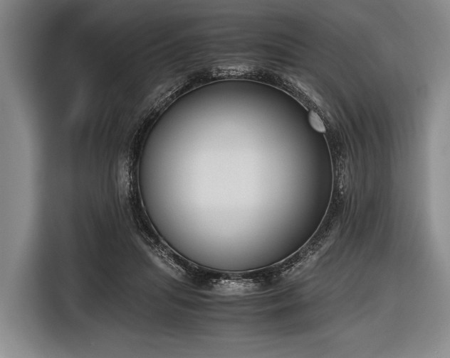 X0000116620455200912181308