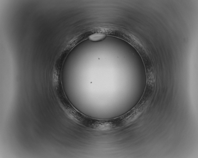 X0000116620456200912181308